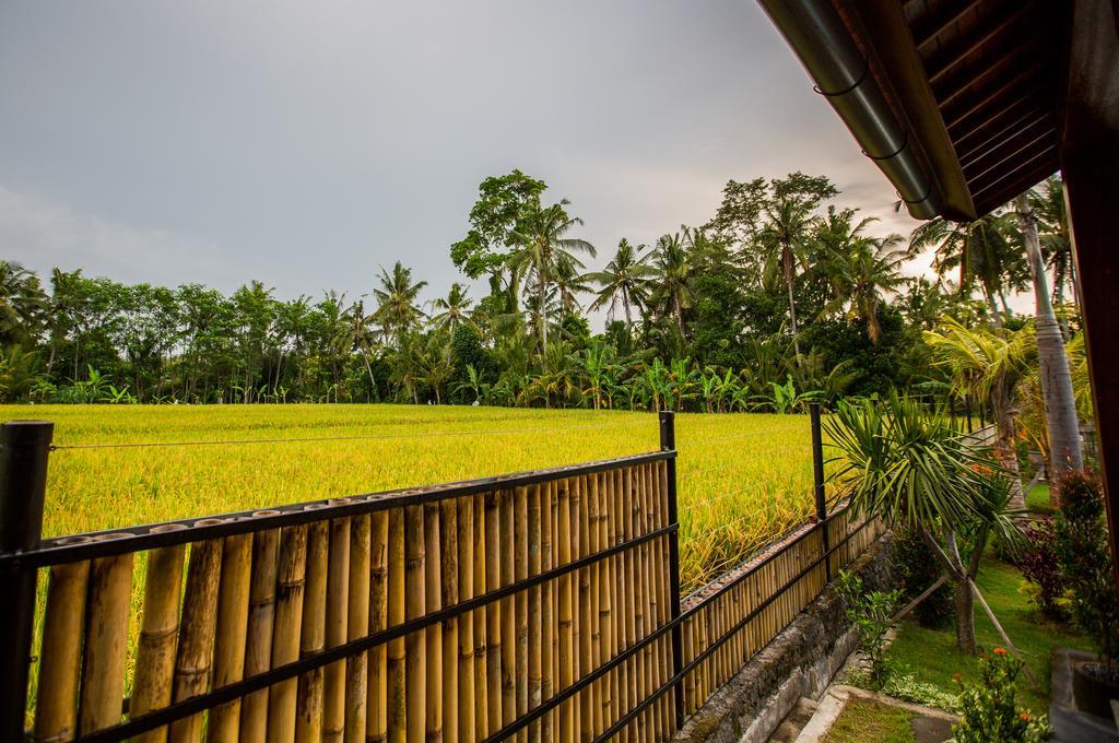 Maluhia Haven Ubud (Bali) Exterior photo