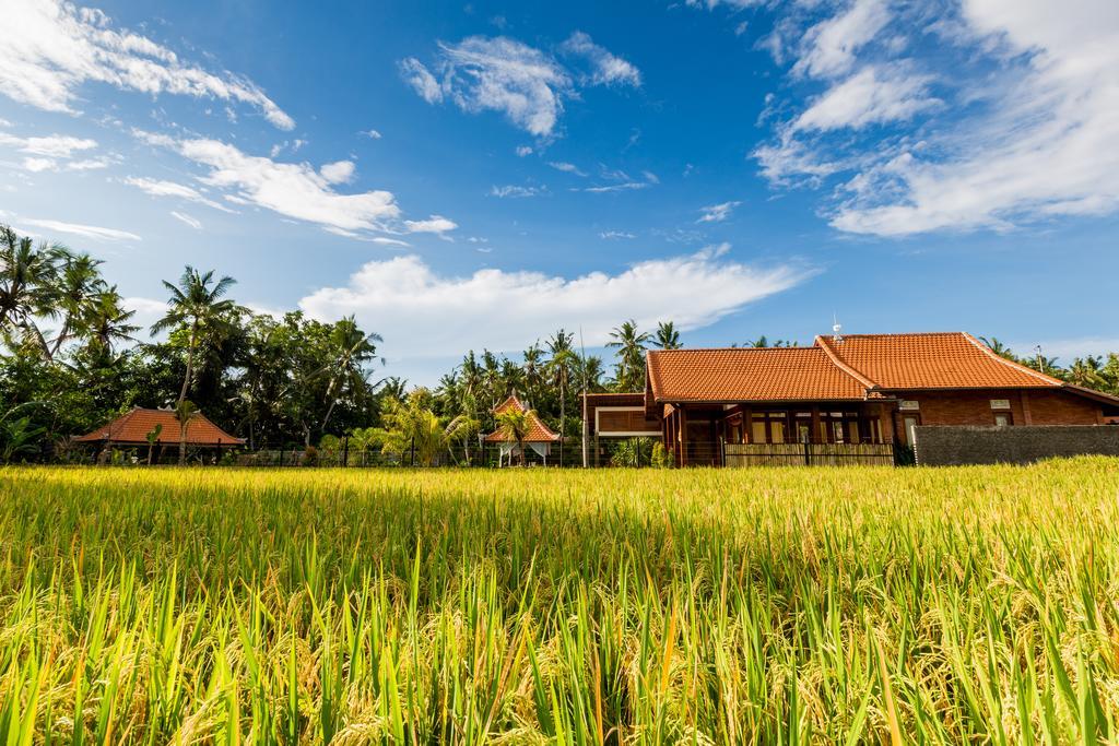 Maluhia Haven Ubud (Bali) Exterior photo
